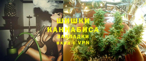 дживик Абинск