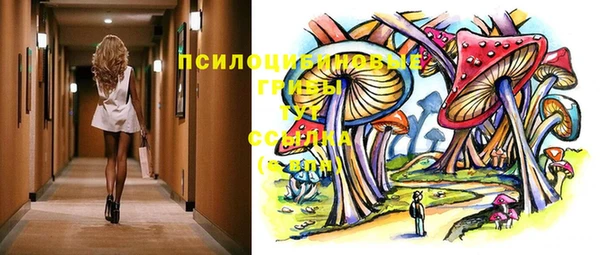 дживик Абинск