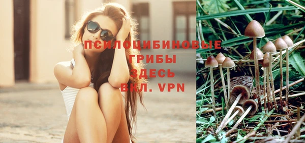 дживик Абинск
