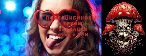 шишки Алексин
