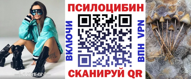 закладки Починок Галлюциногенные грибы Psilocybe
